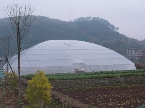 麗水市農(nóng)業(yè)智能化快繁中心 氣霧栽培與植物克隆技術(shù)引領(lǐng)現(xiàn)代農(nóng)業(yè)變革