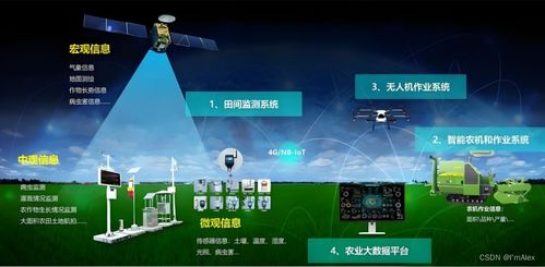 現(xiàn)代農(nóng)業(yè)AI智能化升級之路 機(jī)器學(xué)習(xí)現(xiàn)狀與未來展望